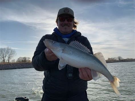 Walleye On The Eleven Point .